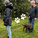 Pack training walk