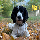 Mannered Mutts Package