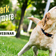 Bark No More - Webinar