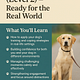 Reactive Rehab - Level 2 - Ready For The Real World 🌍