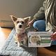 Connected Canines (Life Skills) - 6 week course