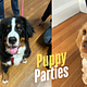 Puppy Party