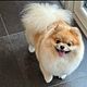 Fluffy cut