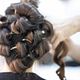 Dames: wassen, watergolf en styling (1 product)