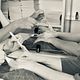 Workshop kriebelboxmassage