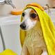wassen + drogen