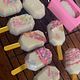 Cakesicles