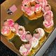 Letter and Number cupcake