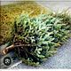 Christmas tree disposal