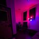 STUDIO BROOKLYN 