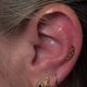 Auricle Piercing