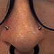 Paired Nostril Piercings