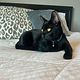 Cat ad all day/night