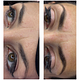 Hybrid brows
