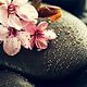 Pacchetto trattamenti Reiki