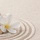 Sessione di Coaching in Studio