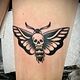 Medium Tattoo