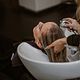 สระไดร์ (Wash and blow-dry)