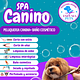 Peluqueria canina