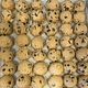 Frozen Cookie Dough