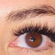 Lash Fill 3 weeks