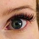Lash Fill 2 weeks