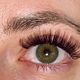 Lash Fill 1 wk