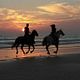 Private 2-Hour Desert & Long Beach Ride