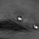 Eye Surface