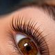 Lash lift & tint