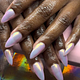 Almond Gel-X