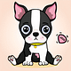 Pups tussen 9 en 15 weken