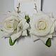 White rose
