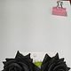 Black rose