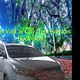 Car Rental Services with Driver