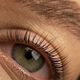 Lashlift