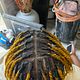 Starter Locs