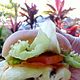 Grilled Chicken Sandwich