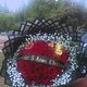 50 roses