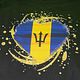 Gepersonaliseerde T-shirts