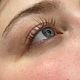 Lash volume lift