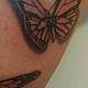 Tattoo Touch-Up