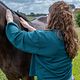 Reiki paard