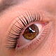 Lashlift + tint