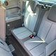 Interieur Compleet + hondenharen