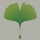 BALANCE-RELAX Therapeutic Touch - Ontspanningsmassage 