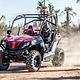1h - Buggys Z Force 800