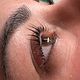 Eyelash lift and Tint