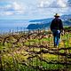 Vive el vino natural entre viñedos centenarios de Tenerife. Reserva ahora.
/
Experience natural wine among Tenerife’s century-old vineyards. Book now.