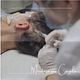 Mesoterapia Capilar